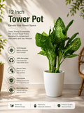 12 Inch Tower Pots, Whte (Pack of 6)