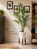 14 Inch Moon Tower Pot (Pack of 2)