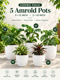 Amrold Pot Combo Pack – Set of 5 (3 × 12 Inch + 2 × 10 Inch)