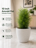 10 Inch Amrold Pot, Marble Finish (Pack of 5)