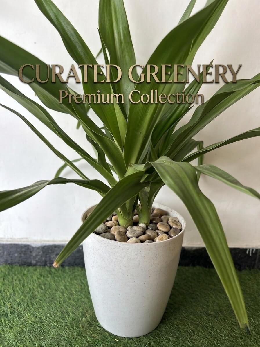 12 Inch Tower Pot, Marble Finish (Pack of 6)