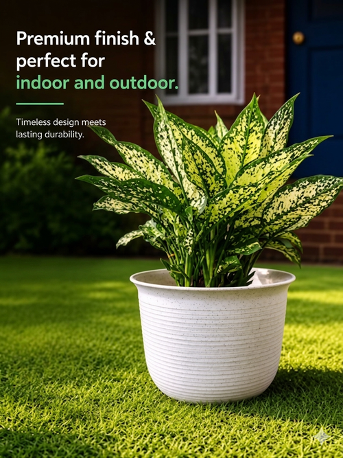 10 Inch Sunlight Pot, Marble Finish (Pack of 5)
