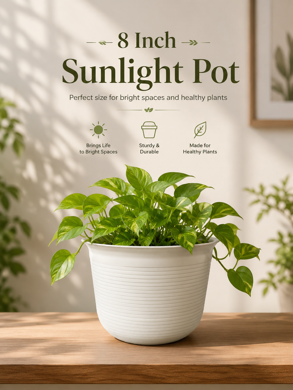 8 Inch Sunlight Pots (Pack of 5)