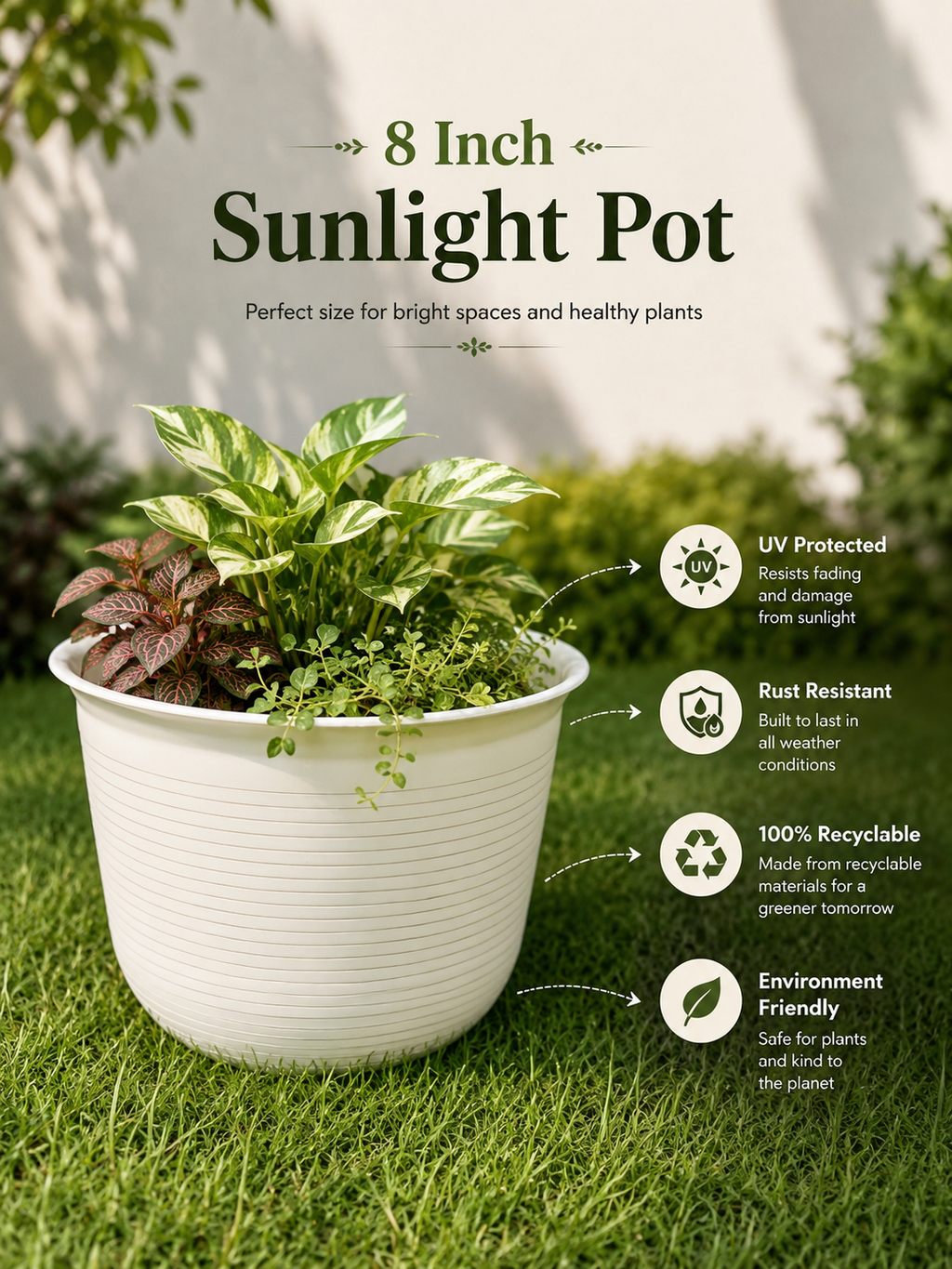 8 Inch Sunlight Pots (Pack of 5)