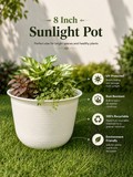 8 Inch Sunlight Pots (Pack of 5)