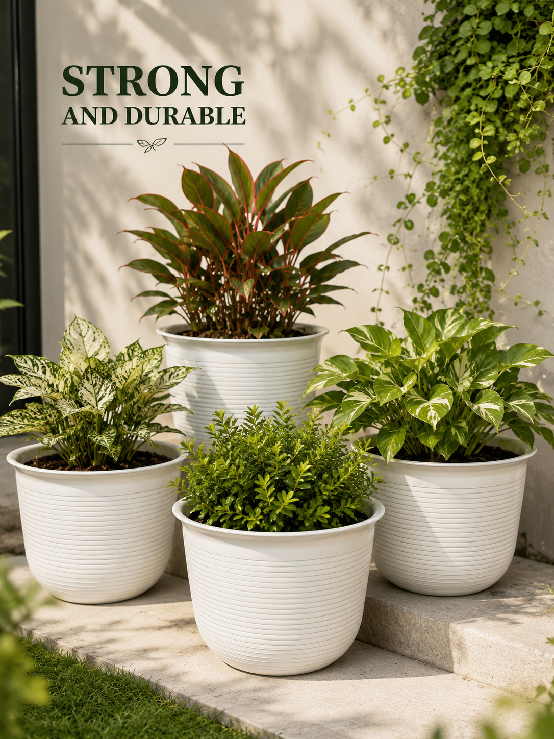 8 Inch Sunlight Pots (Pack of 5)