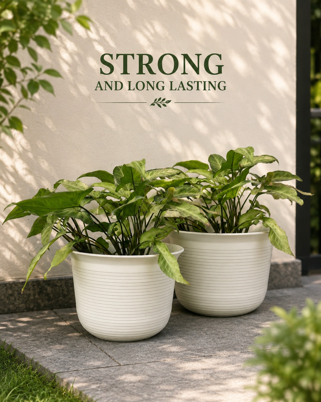 10 Inch Sunlight Pot, White (Pack of 5)