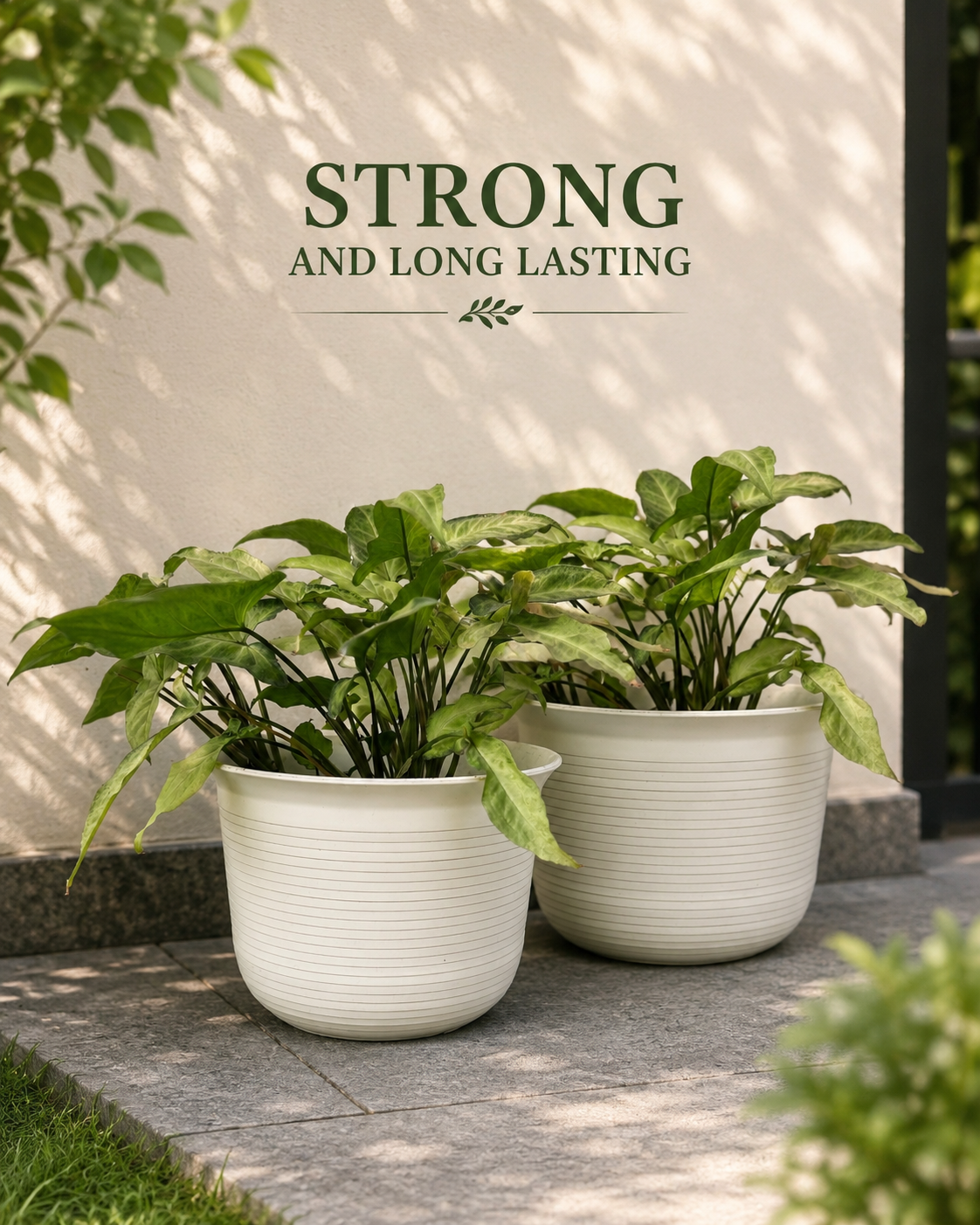 10 Inch Sunlight Pot, White (Pack of 5)