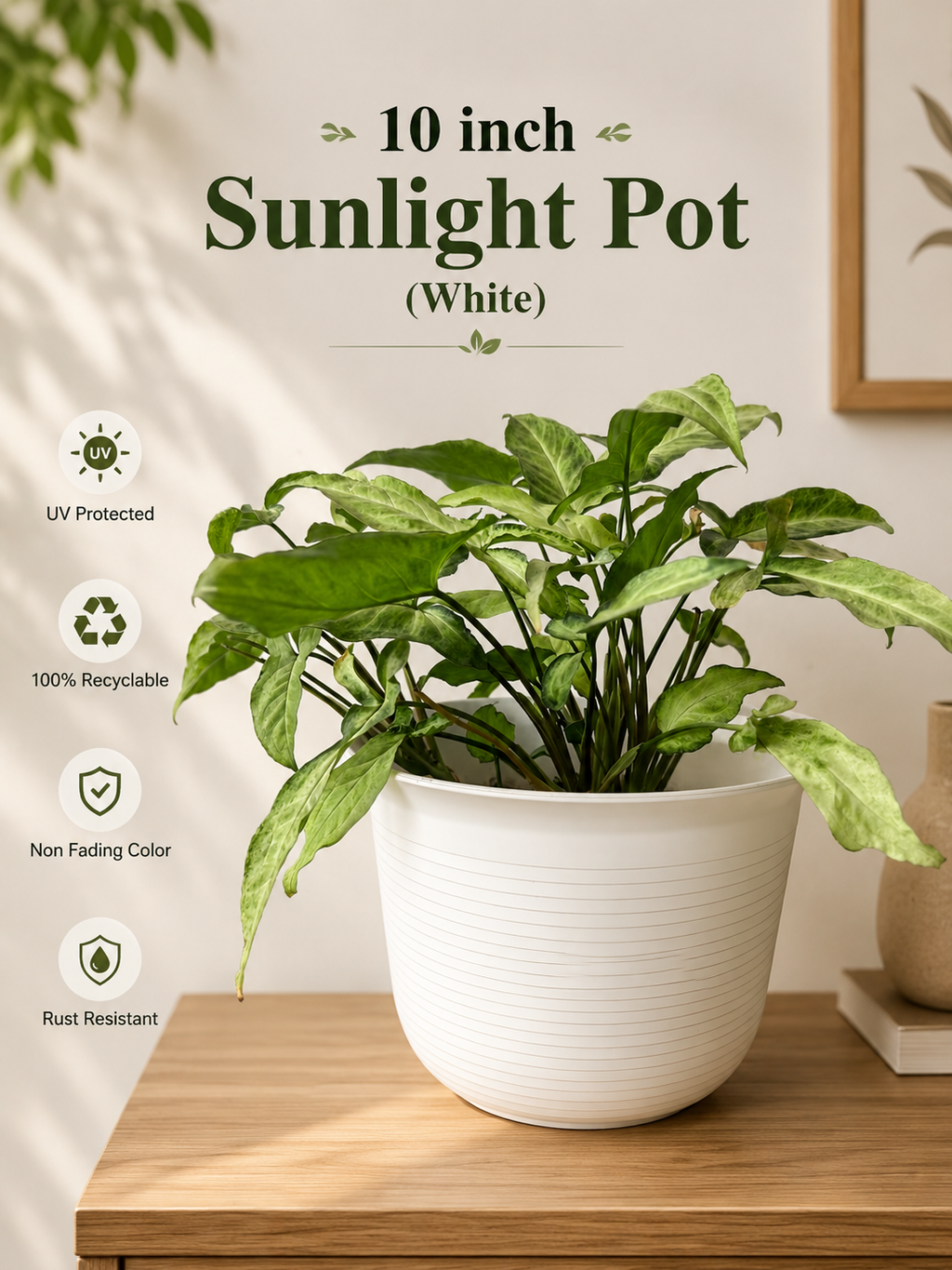 10 Inch Sunlight Pot, White (Pack of 5)