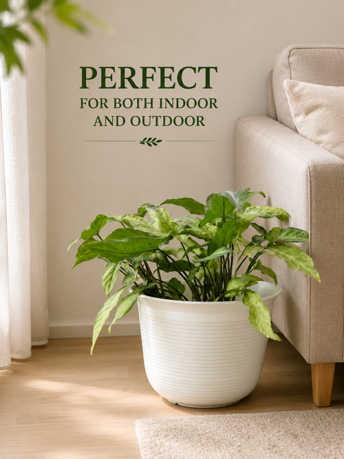 10 Inch Sunlight Pot, White (Pack of 5)