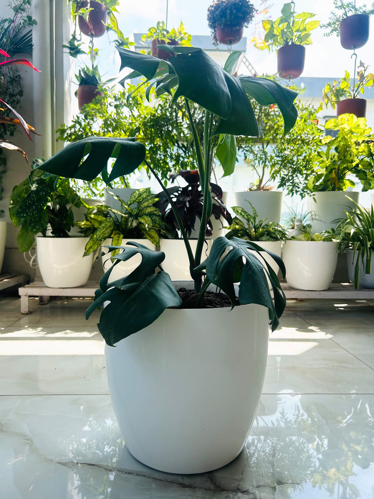 12 Inch Amrold Pot (Pack of 3)